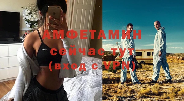 гидра Гусь-Хрустальный