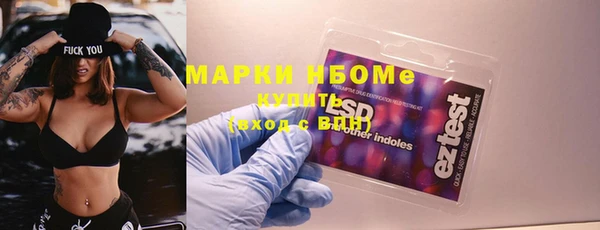 гидра Гусь-Хрустальный