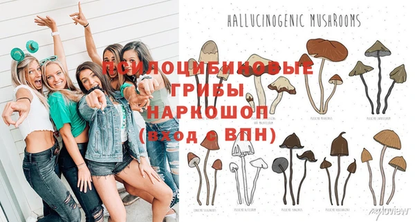 трава Горно-Алтайск