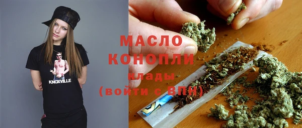 гидра Гусь-Хрустальный