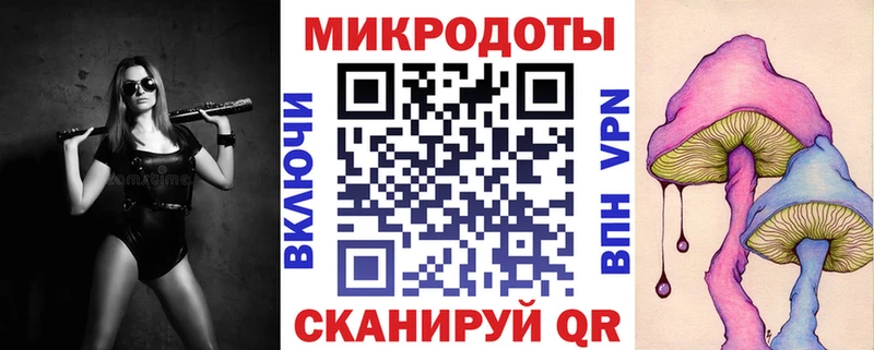 Галлюциногенные грибы Psilocybe  Купить закладки  Сатка 